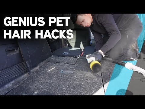 Remove DOG HAIR from Your Car the EASY WAY with this Hack!