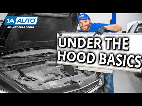 Under the Hood Basics! Learn About the Stuff Under Your Car&#039;s Hood!