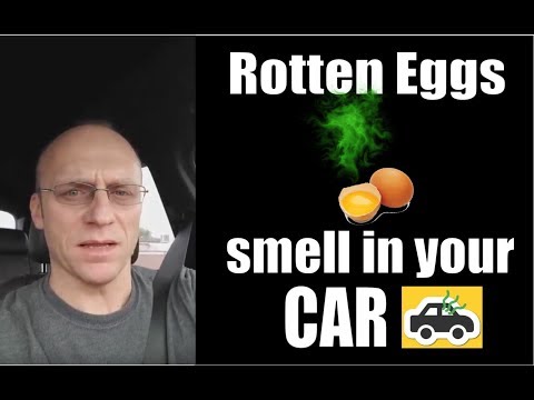Rotten Eggs Smell in your Car 😝