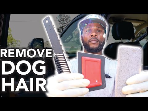 How To Remove Dog Hair From Car Carpets - Hunters Mobile Detailing