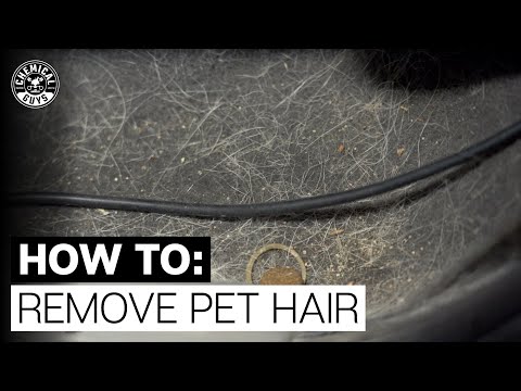 Easiest Way to Remove Pet Hair in Seconds - Chemicals Guys